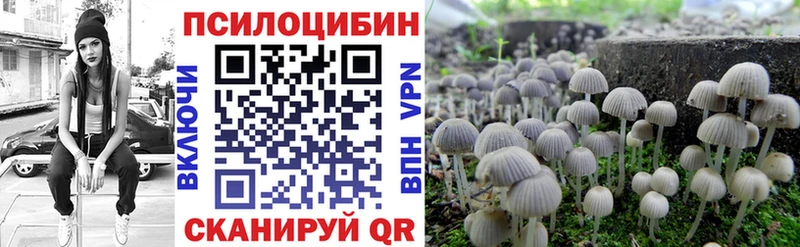 наркошоп  Сызрань  Галлюциногенные грибы Cubensis 