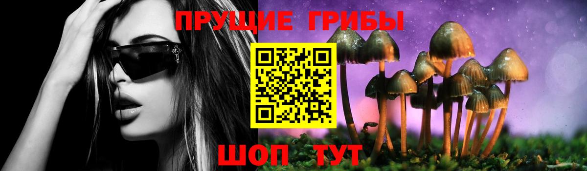 Псилоцибиновые грибы GOLDEN TEACHER  Псилоцибиновые грибы Psilocybine cubensis  Вход с VPN  Сызрань 